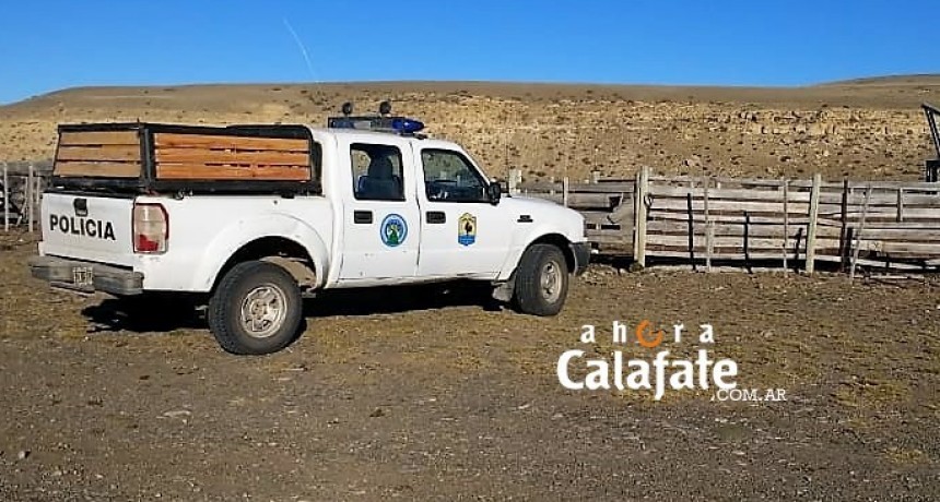 Control de animales termin&oacute; con causa penal y un operativo por fuga de vacunos
