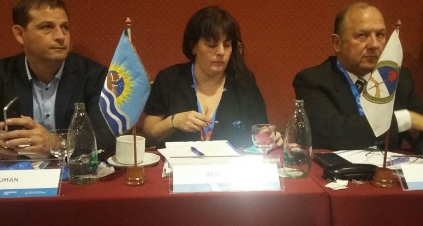 El Consejo Federal de Seguridad Vial se reunir&aacute; en El Calafate