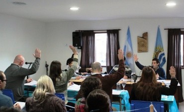 Concejales piden informes a Diputados sobre cuestionada funcionaria municipal