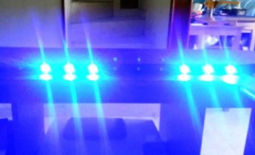 Roban y causan da&ntilde;os por 50 mil pesos