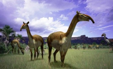 Extraen el ADN de un animal extinto que vivi&oacute; en Santa Cruz