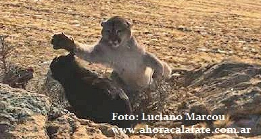 La historia de impactante imagen