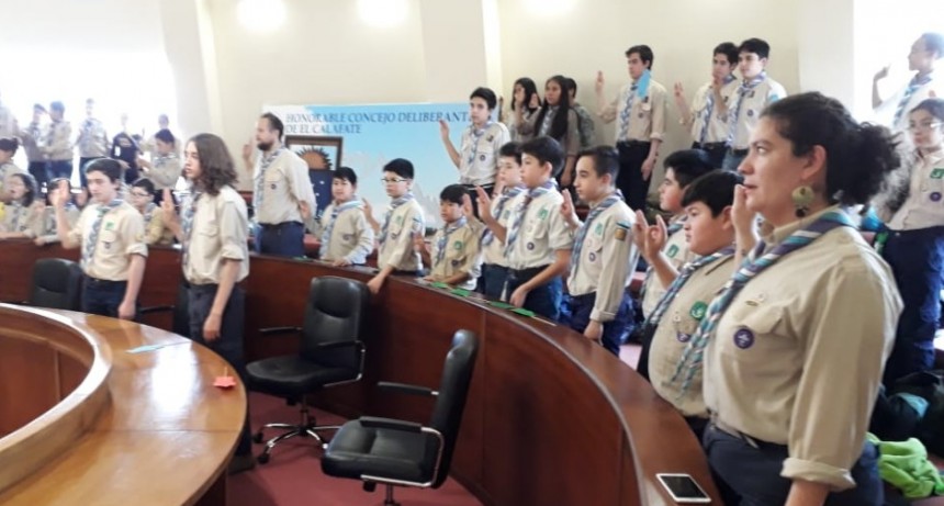 Scouts votaron proyectos en el Concejo Deliberante.