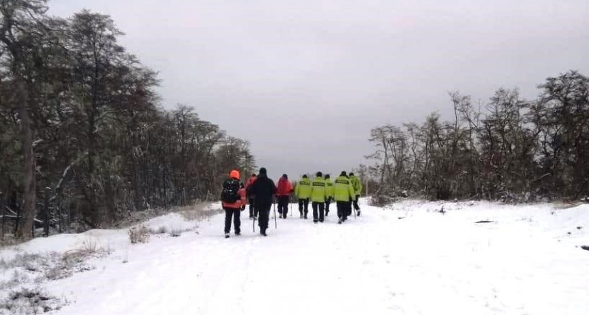 Personal y canes de Santa Cruz colaboran en la b&uacute;squeda de un hombre desaparecido