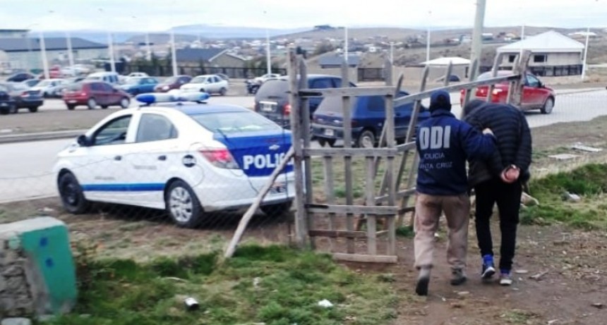 En allanamientos por un robo encuentran plantas de marihuana
