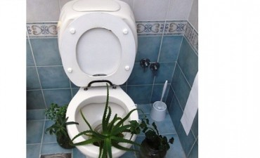 APUNTES CIUDADANOS: Cloacas, Cloacas, Cloacas
