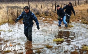 Caso Ybarra: Piden respetar los protocolos de b&uacute;squeda 
