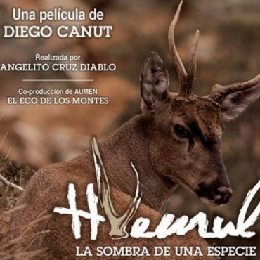 Estrenan la peli del huemul.