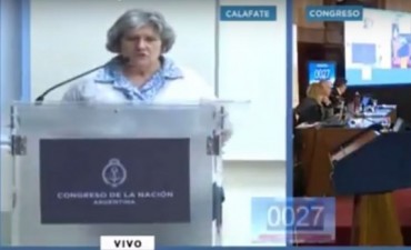 AUDIENCIA POR REPRESAS. &iquest;Qu&eacute; se dijo desde El Calafate?