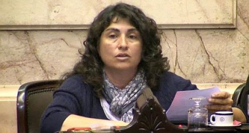 Aborto legal en el Senado: Patagonia, con tendencia verde