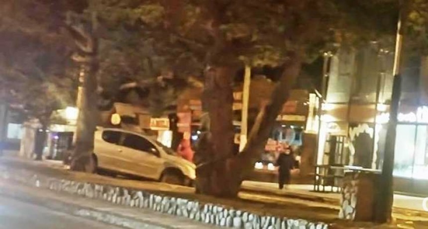 ACTUALIZADO. Choques y fuga en la Avenida Libertador