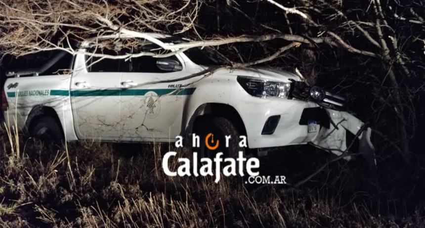 Camioneta de APN despist&oacute; y termin&oacute; entre los &aacute;rboles