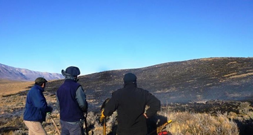 Incendio de pastizales en la cercan&iacute;as de El Chalt&eacute;n