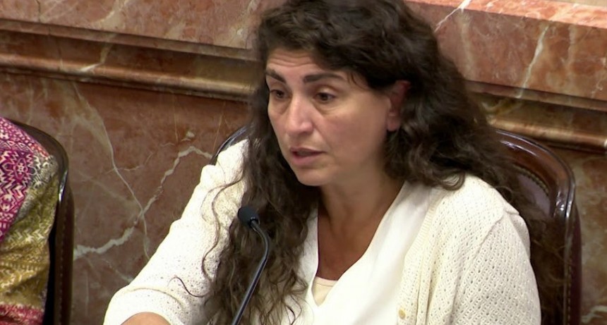 Ianni vuelve a reclamar por el Hospital SAMIC 