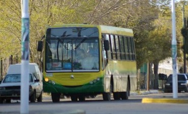 L&iacute;nea Urbana: Empresa asegura que puede hacerse cargo inmediatamente 