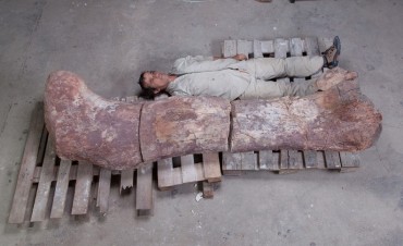 Patagotitan mayorum: el dinosaurio m&aacute;s grande del mundo