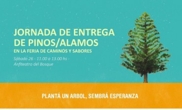 Retoman la campa&ntilde;a de forestaci&oacute;n