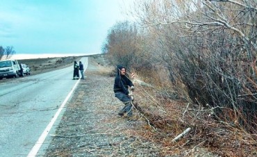 Tareas de poda en la Ruta hacia el Parque Nacional