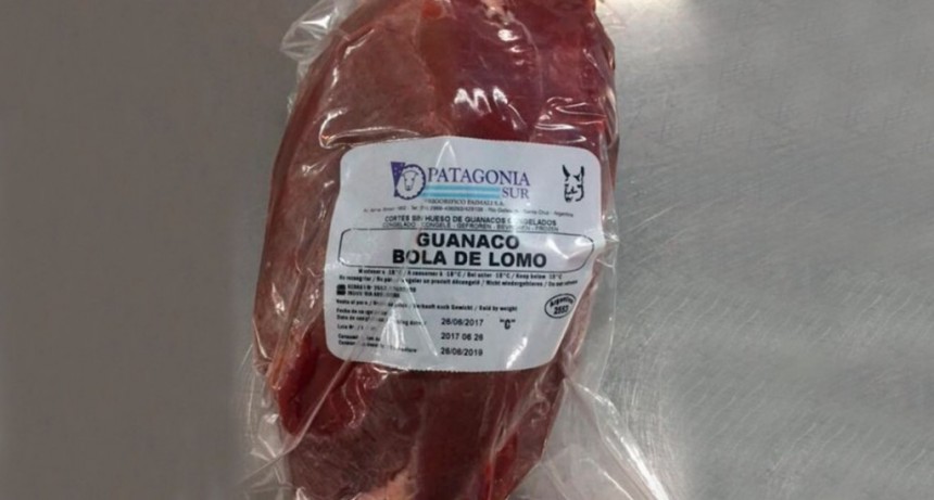 Por primera vez Santa Cruz exportar&aacute; carne de guanaco 