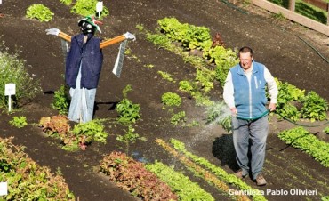 Lanzan el Primer Concurso de Huertas