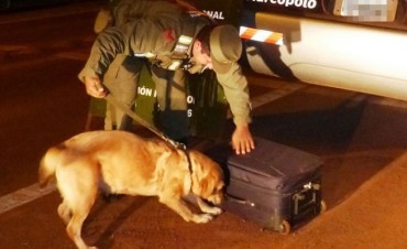 Fue condenado hombre que tra&iacute;a droga a El Calafate