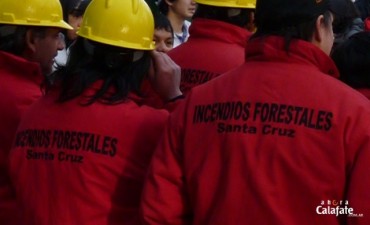 Reclamo: Brigadistas deciden no salir a combatir incendios