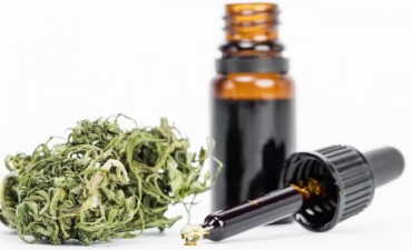 Hasta la reglamentaci&oacute;n el uso del Aceite de Cannabis depende del sentido com&uacute;n.