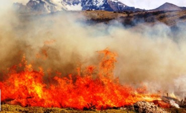 Incendio en el Parque: &ldquo;El fuego est&aacute; controlado&rdquo;