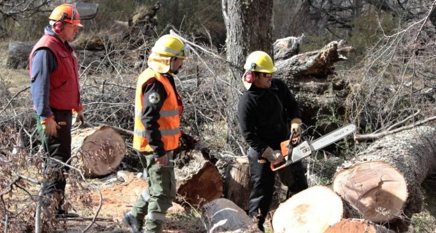 El Chalt&eacute;n. Capacitaci&oacute;n a brigadistas contra incendios forestales