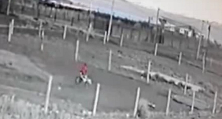 VIDEO. Fue filmado cuando quiso robar