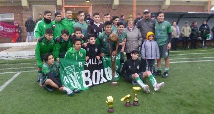 Boxing Club CAMPE&Oacute;N del Alberto B&oacute;rquez
