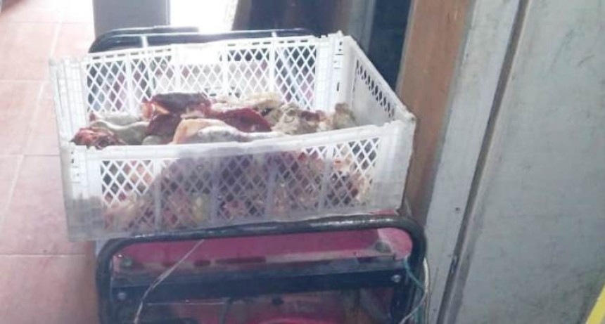 La carne ni siquiera era apta para darle a una mascota