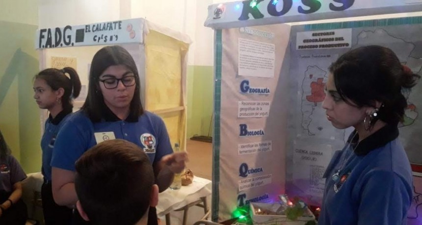 Feria de Ciencias. 14 proyectos de El Calafate clasificaron a la Provincial