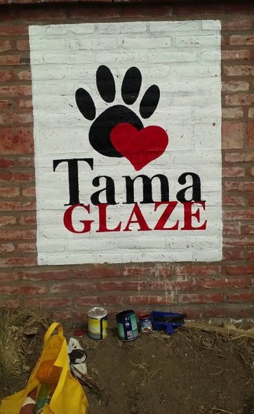 TAMA aclar&oacute; que no suelta perros en la v&iacute;a p&uacute;blica