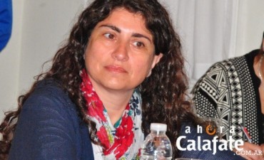 Ianni. No estamos buscando un tarifazo.