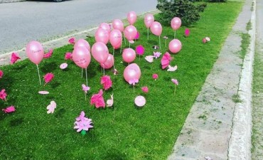 Calafate dentro de la media. C&aacute;ncer de mama es principal causa de muerte en mujeres de 35 a 70 a&ntilde;os