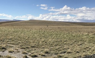 Nuevas &aacute;reas petroleras repercutir&aacute;n en El Calafate