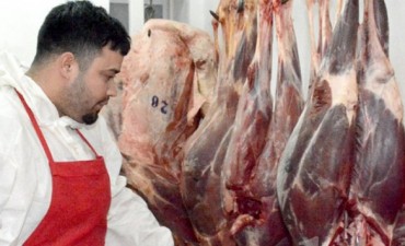 Autorizan a Santa Cruz a comercializar guanaco fuera de la provincia