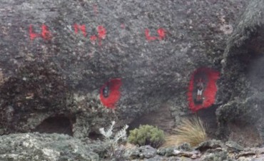 CAP retir&oacute; basura, detect&oacute; pinturas y hasta imagenes religiosas en isla Solitaria