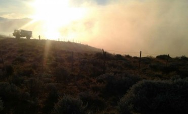 Incendio en sector oeste de la ciudad 
