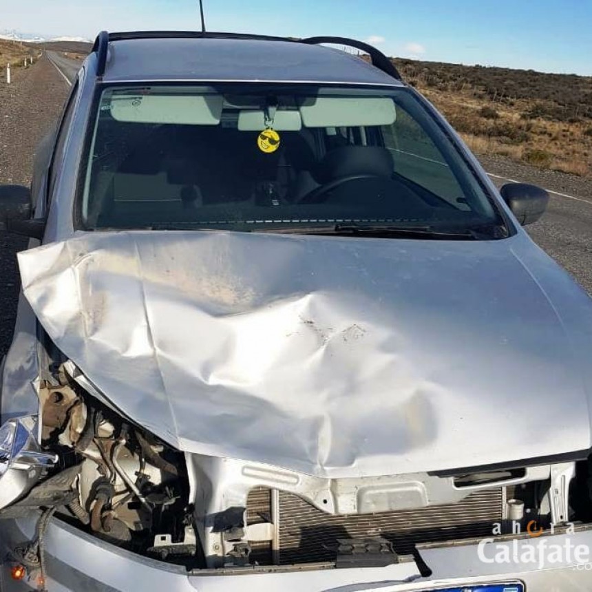 Cuidado con los guanacos