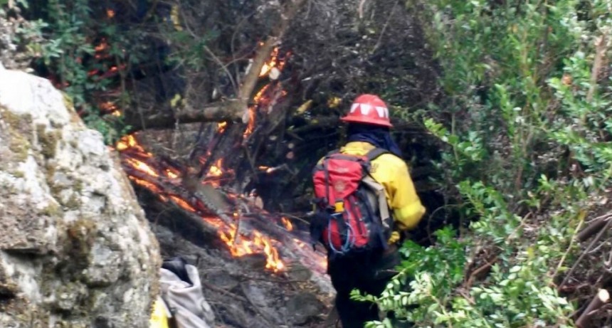 Parques dicta curso inicial para combatientes de incendios