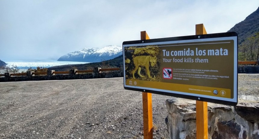 Campa&ntilde;a &ldquo;Tu Comida Los Mata&rdquo;. Instalan carteles en lugares clave