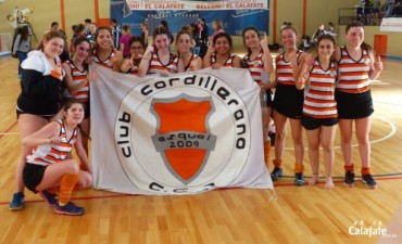 Culmin&oacute; el VI&deg; Torneo de Hockey Pista de &ldquo;Los Glaciares&rdquo;
