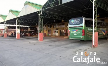 L&iacute;neas regulares ahora deben tener 2 choferes 