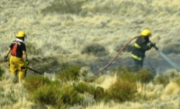 Bomberos y Municipalidad combatieron incendio