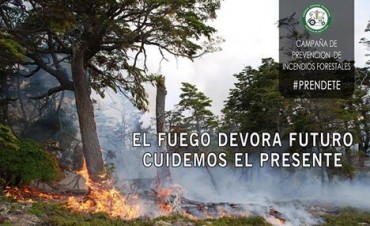 El Chalt&eacute;n: Charlas y visita puerta a puerta para prevenir incendios forestales