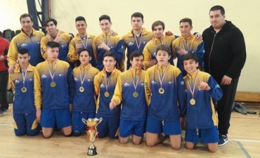 Hist&oacute;rica Medalla de Plata del voley masculino en Araucania