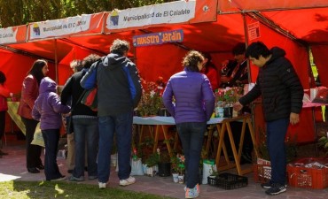 Primer Paseo Gastron&oacute;mico en el Bosque del Anfiteatro