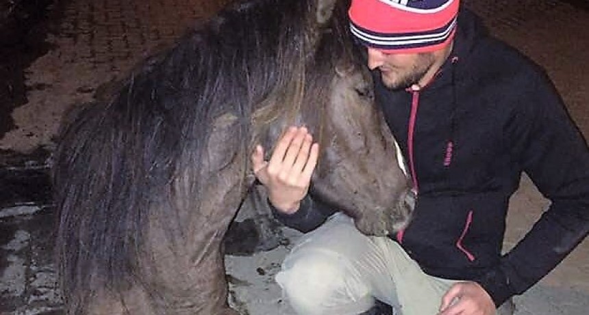 Muri&oacute; la yegua que estaba abandonada en el paseo costero